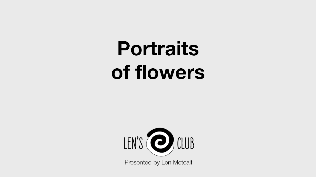 PR28 Portraits of Flowers