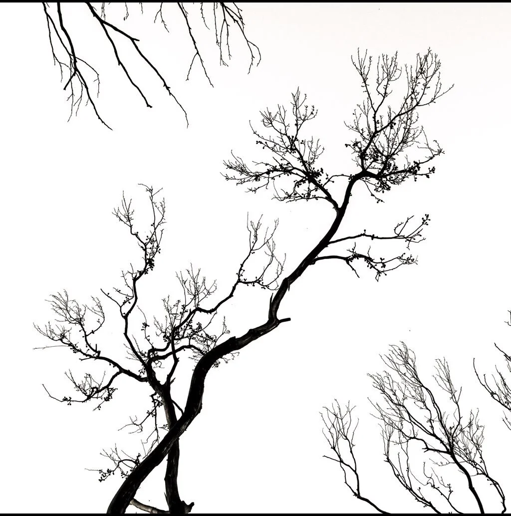 EX102 Seeing Differently