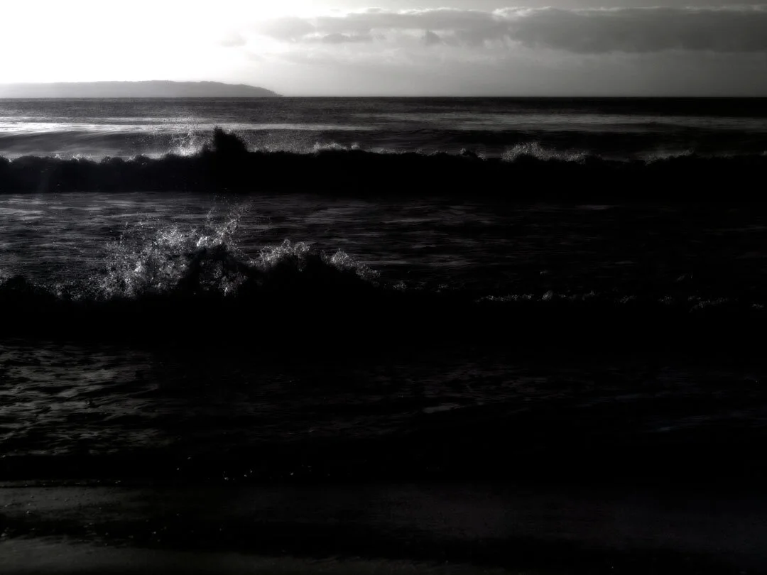 FG3 Monochrome Photography focus group