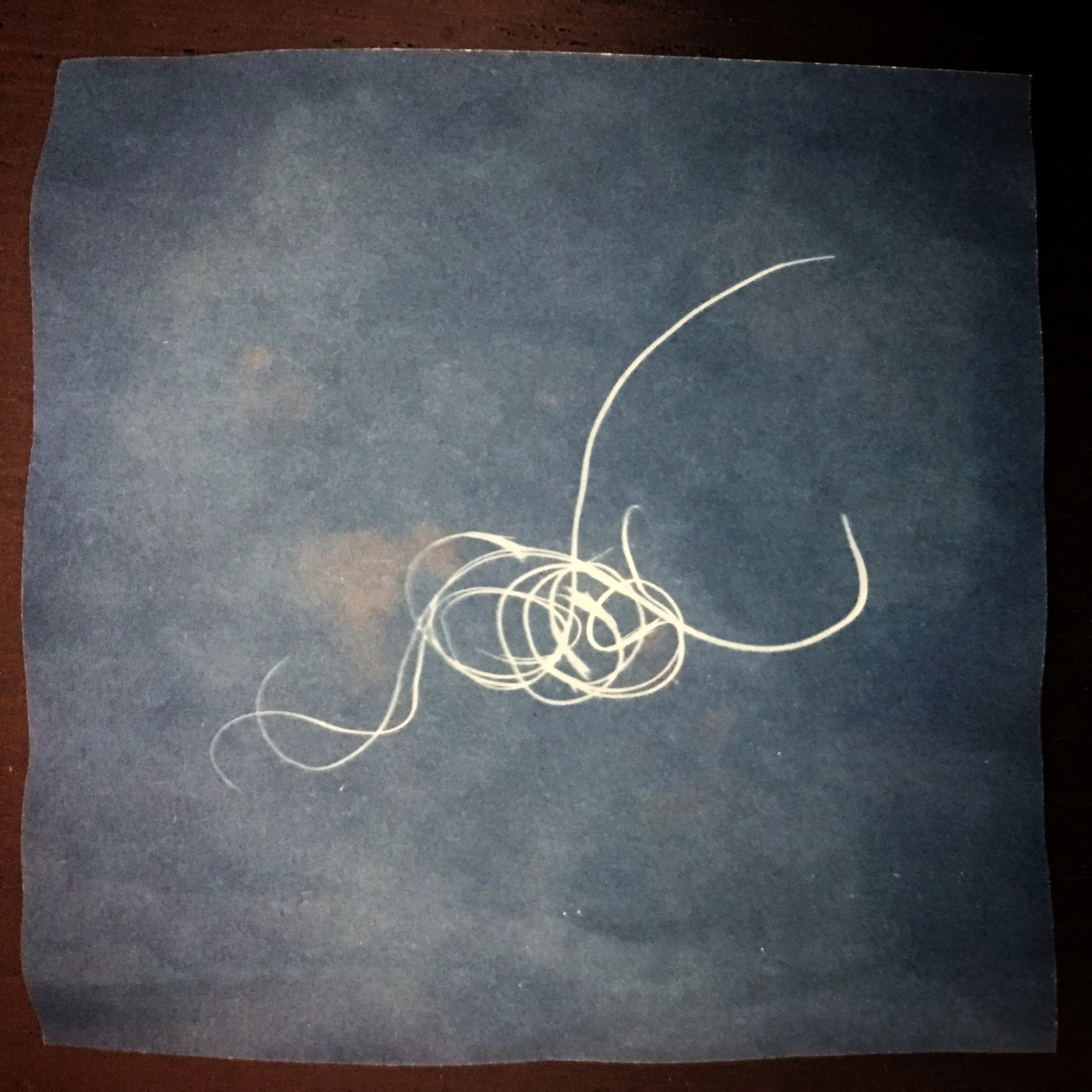 FG15 Cyanotype photography