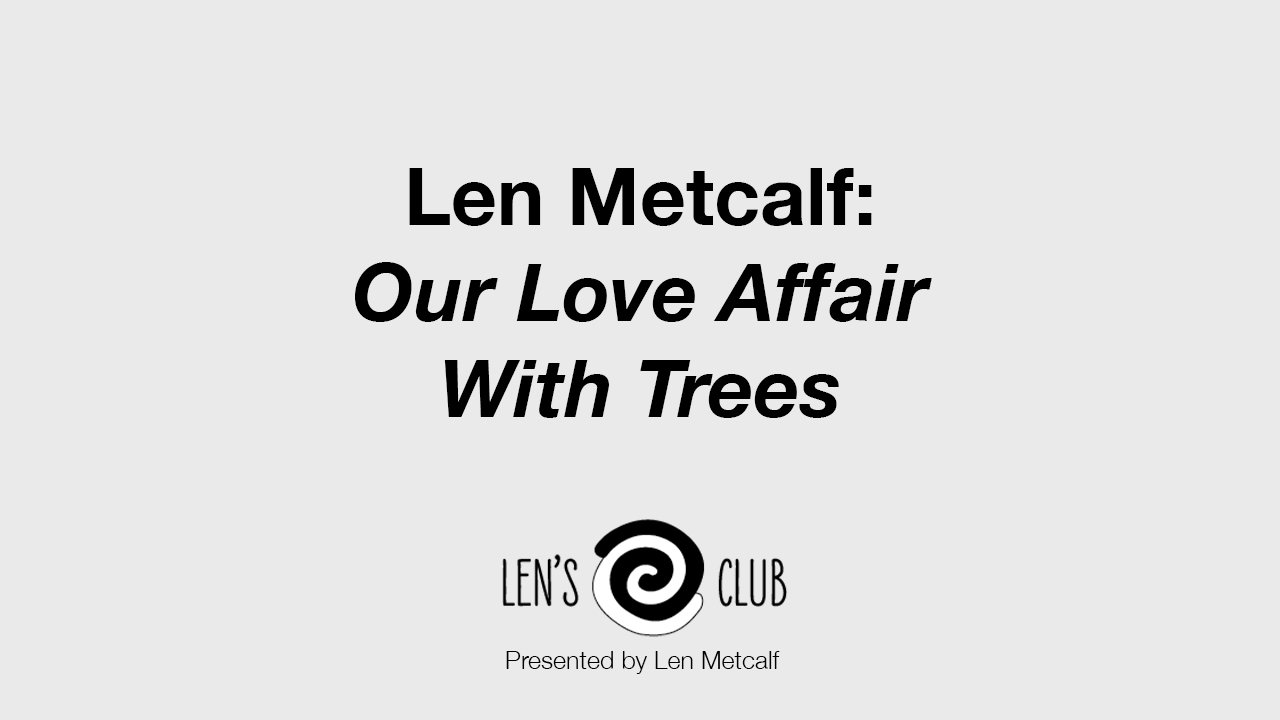 BR40 Our love affair with trees