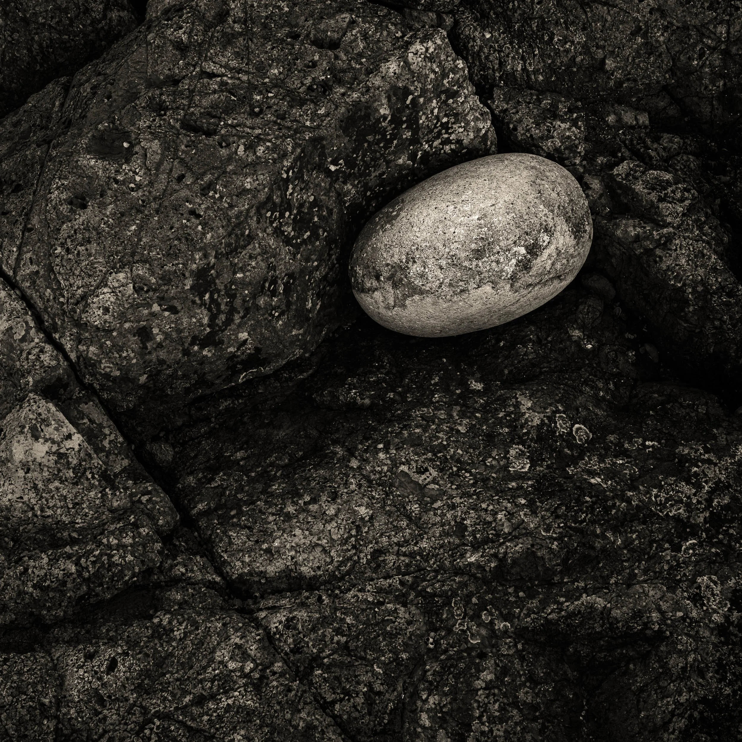 LC59 Monochrome Processing