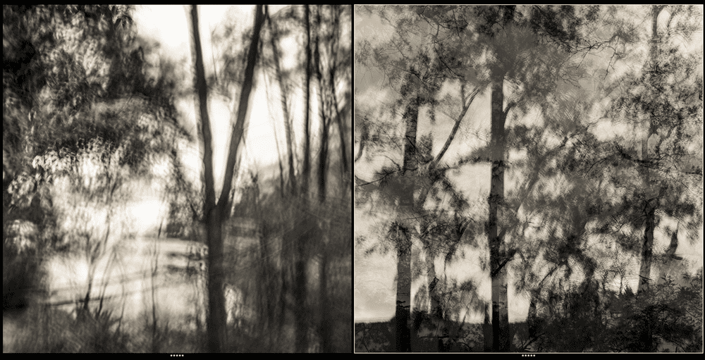 Screen Shot 2023-04-18 at 9.09.14 am.png