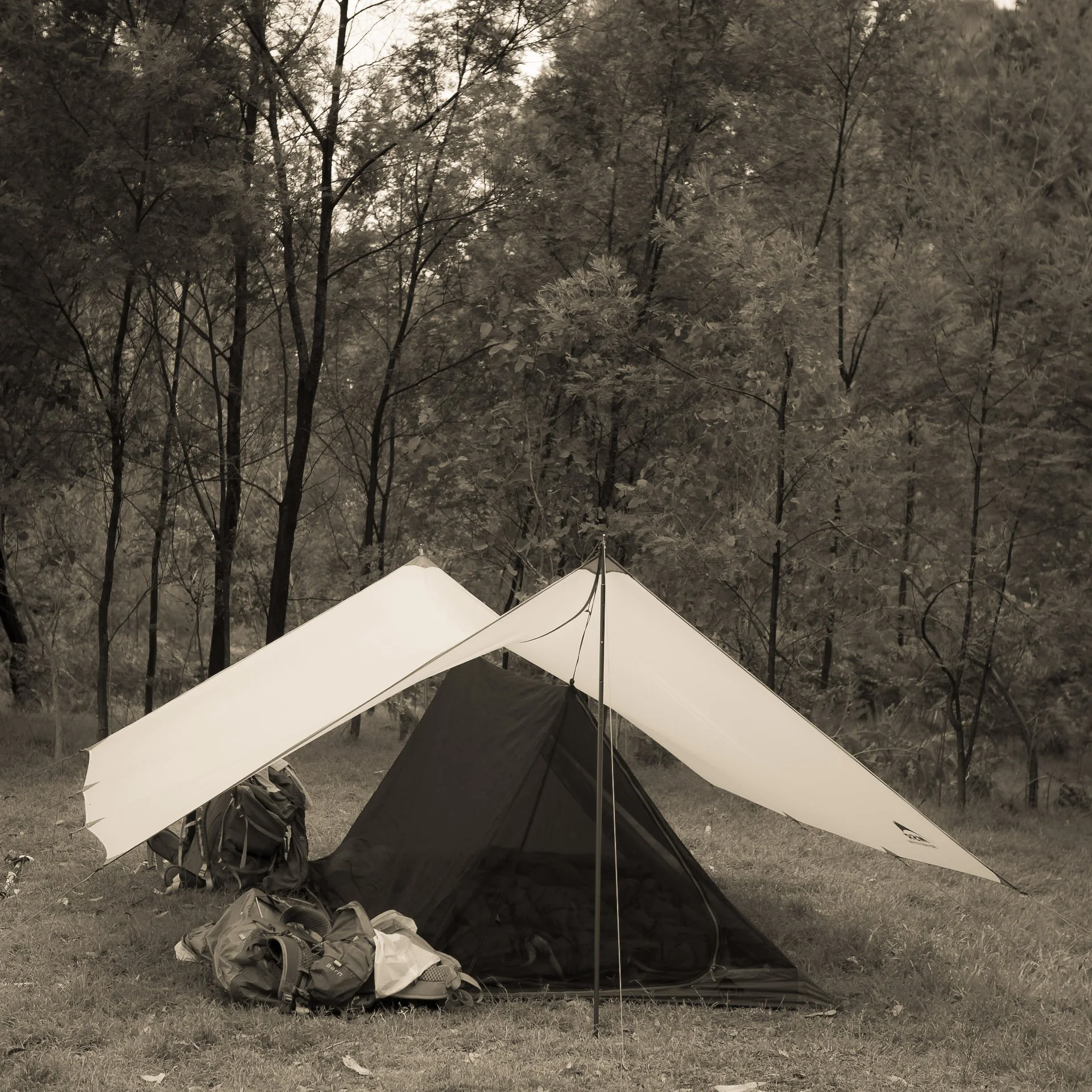 P1250083 2.JPG