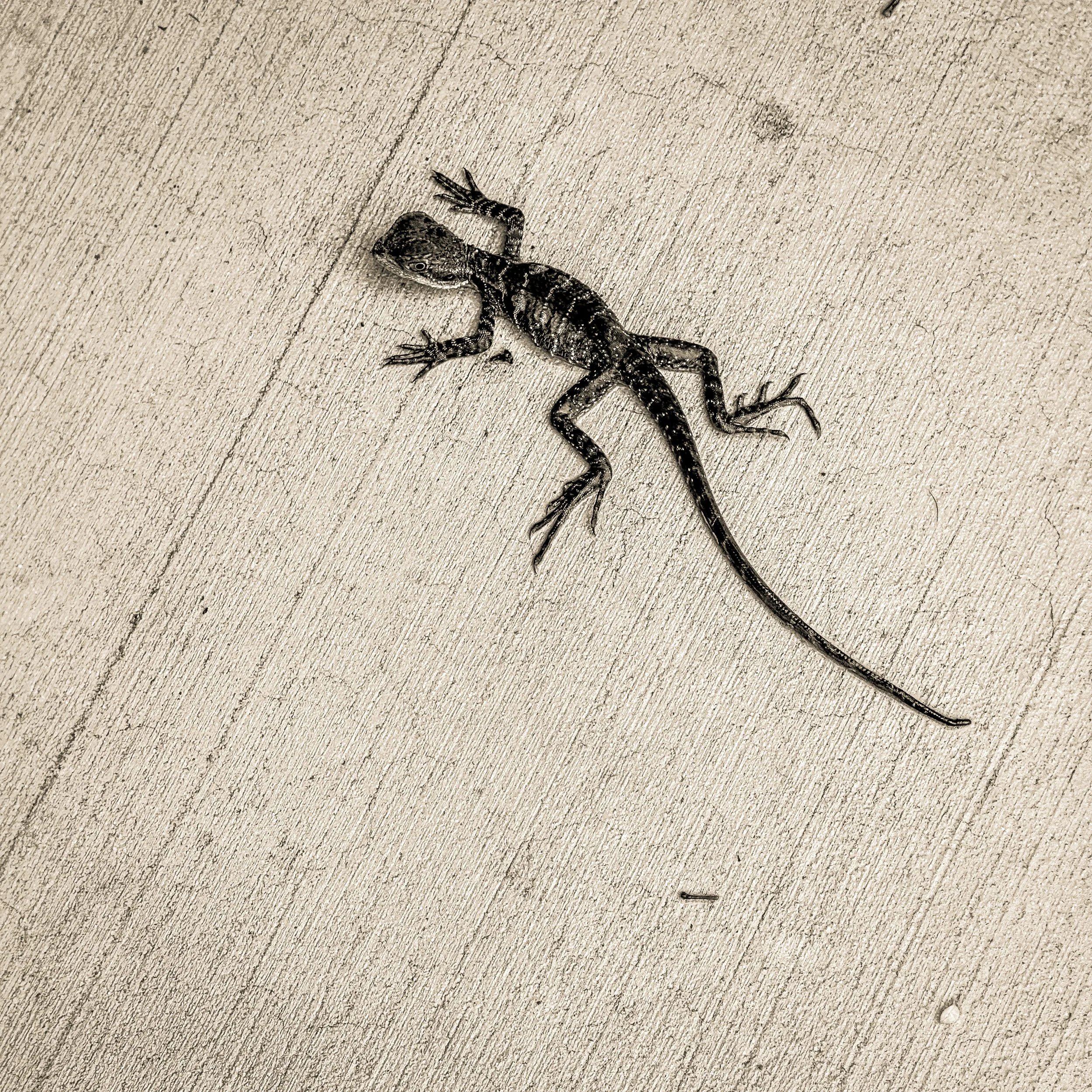 Learning to be creative