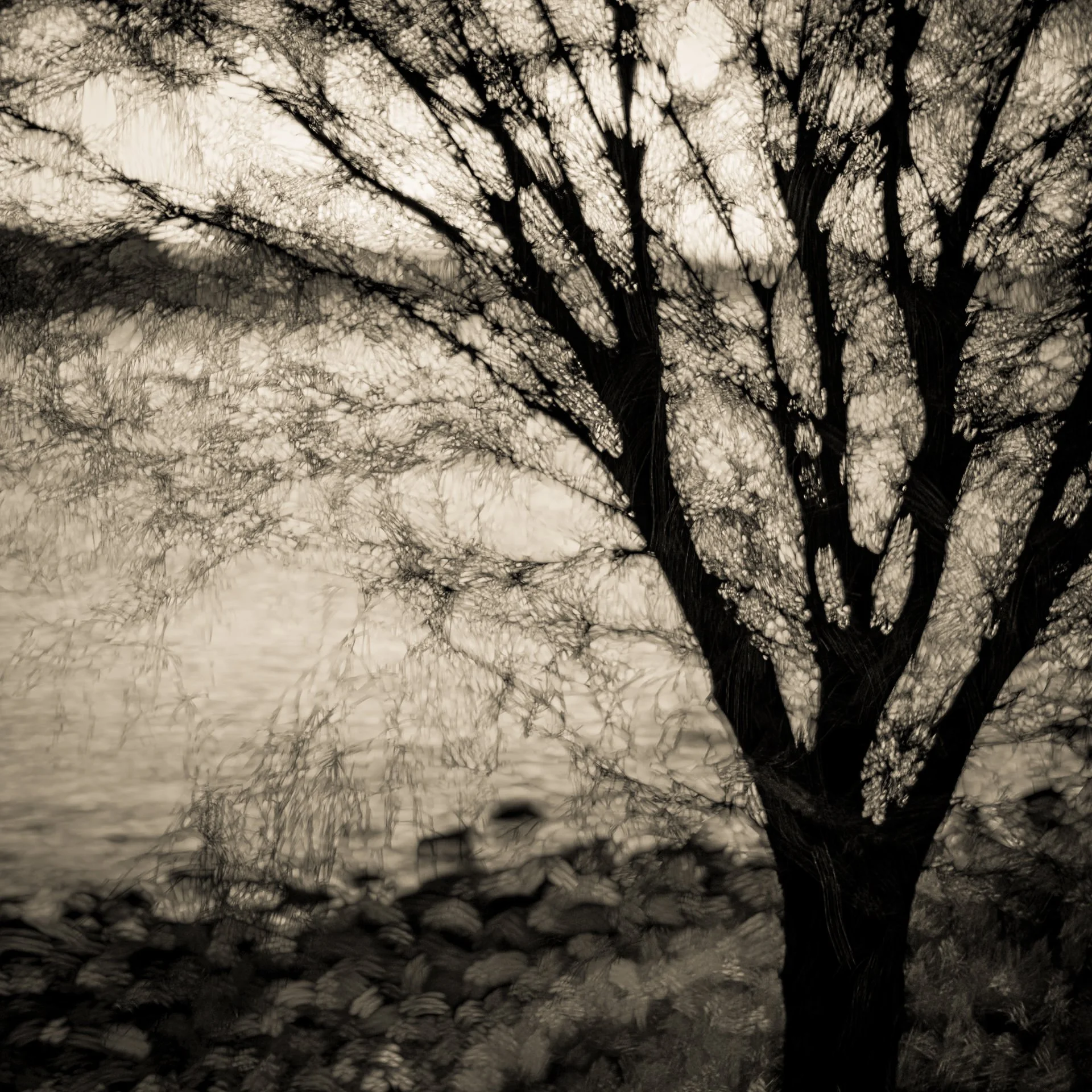 Micro four thirds love