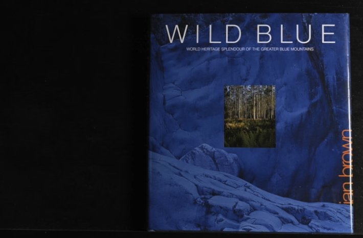 Ian Brown: Wild Blue