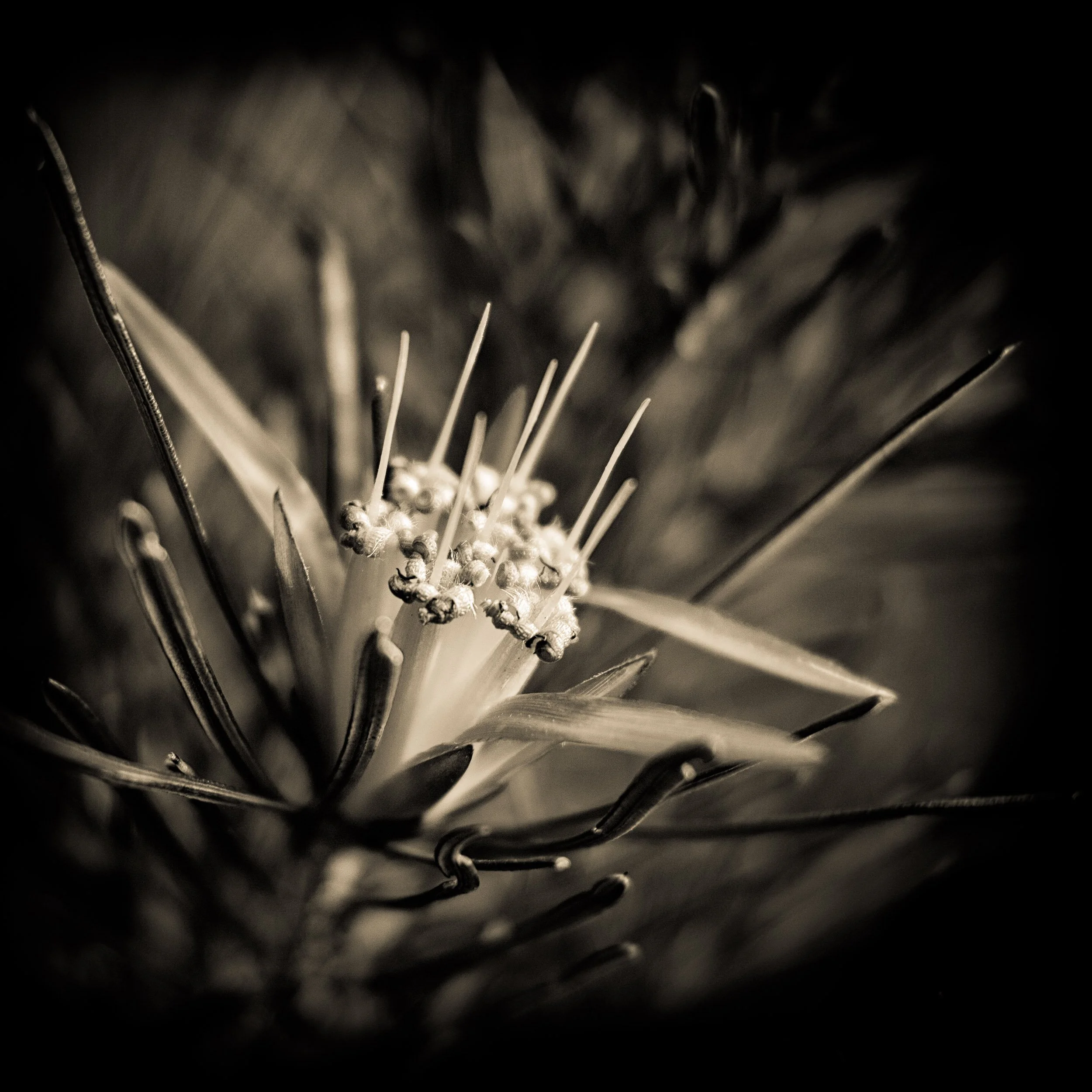 _4118564-Edit-2-Edit.jpg