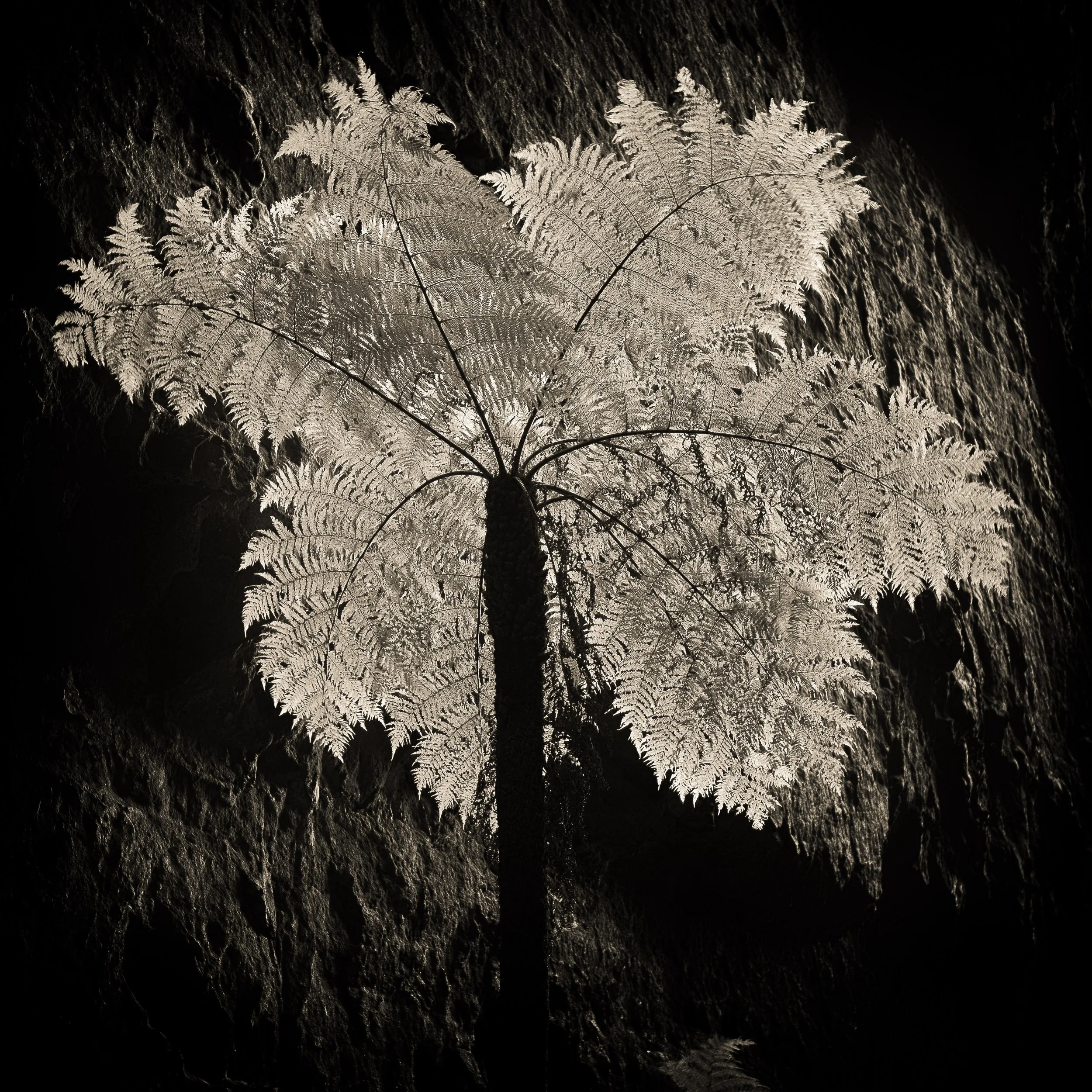 _5150251-Edit.jpg