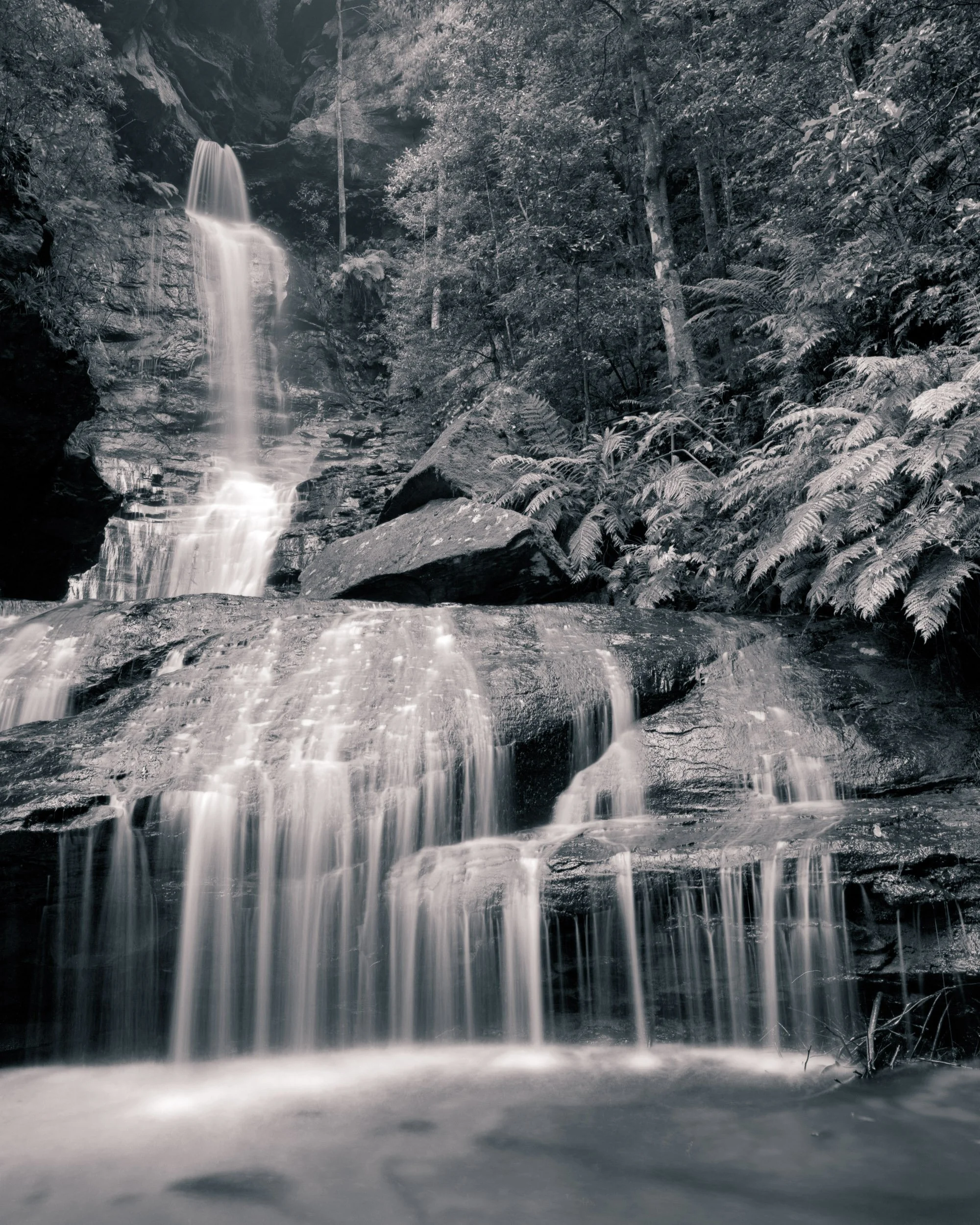 0025 24 x 30 inches.jpg