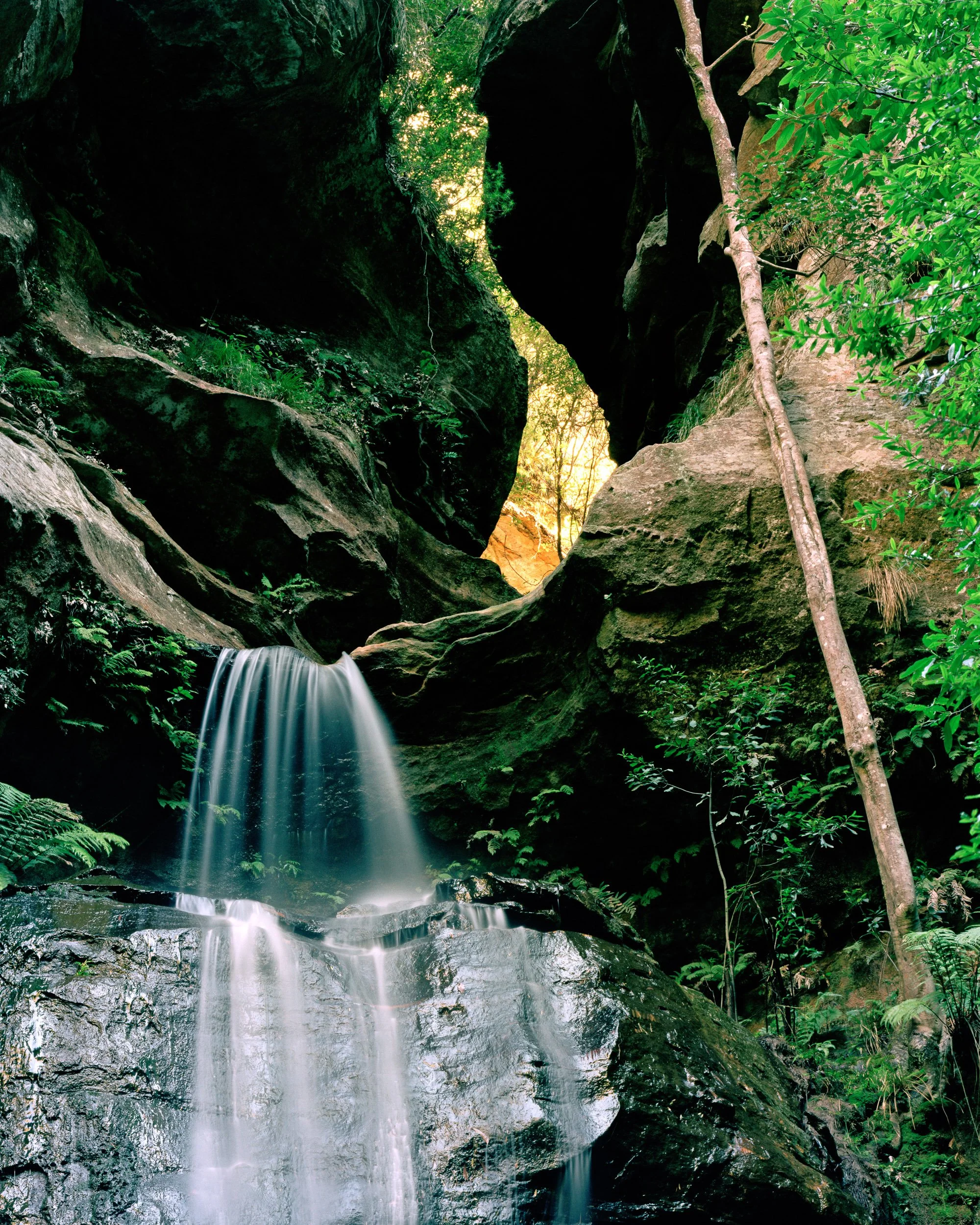 0109 24 x 30 inches.jpg