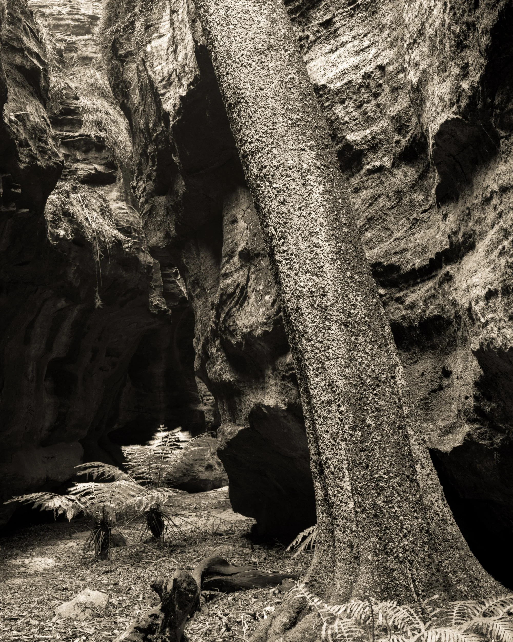 0133 24 x 30 inches.jpg