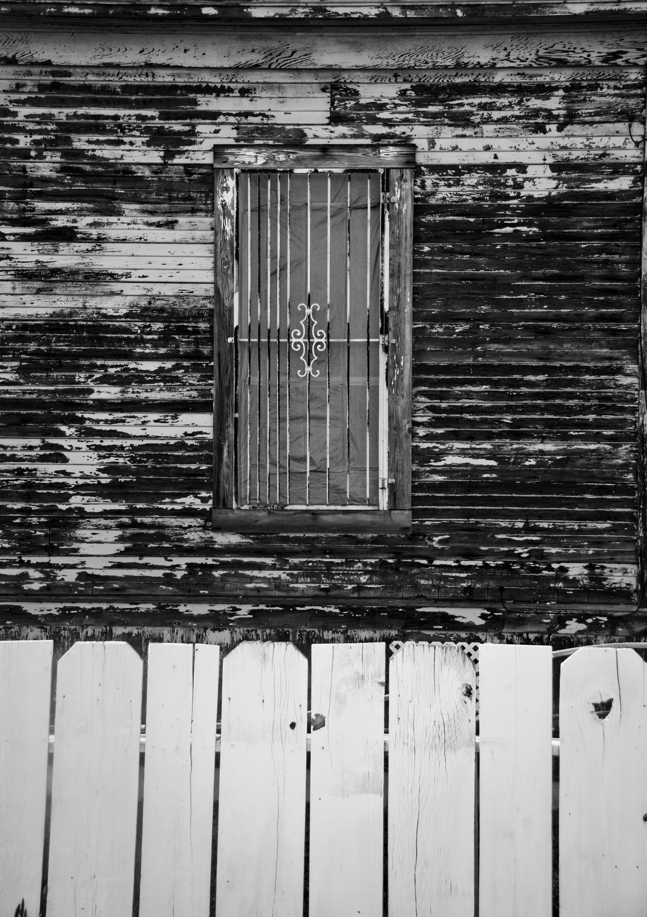 _MG_2979 copy as Smart Object-1.jpg