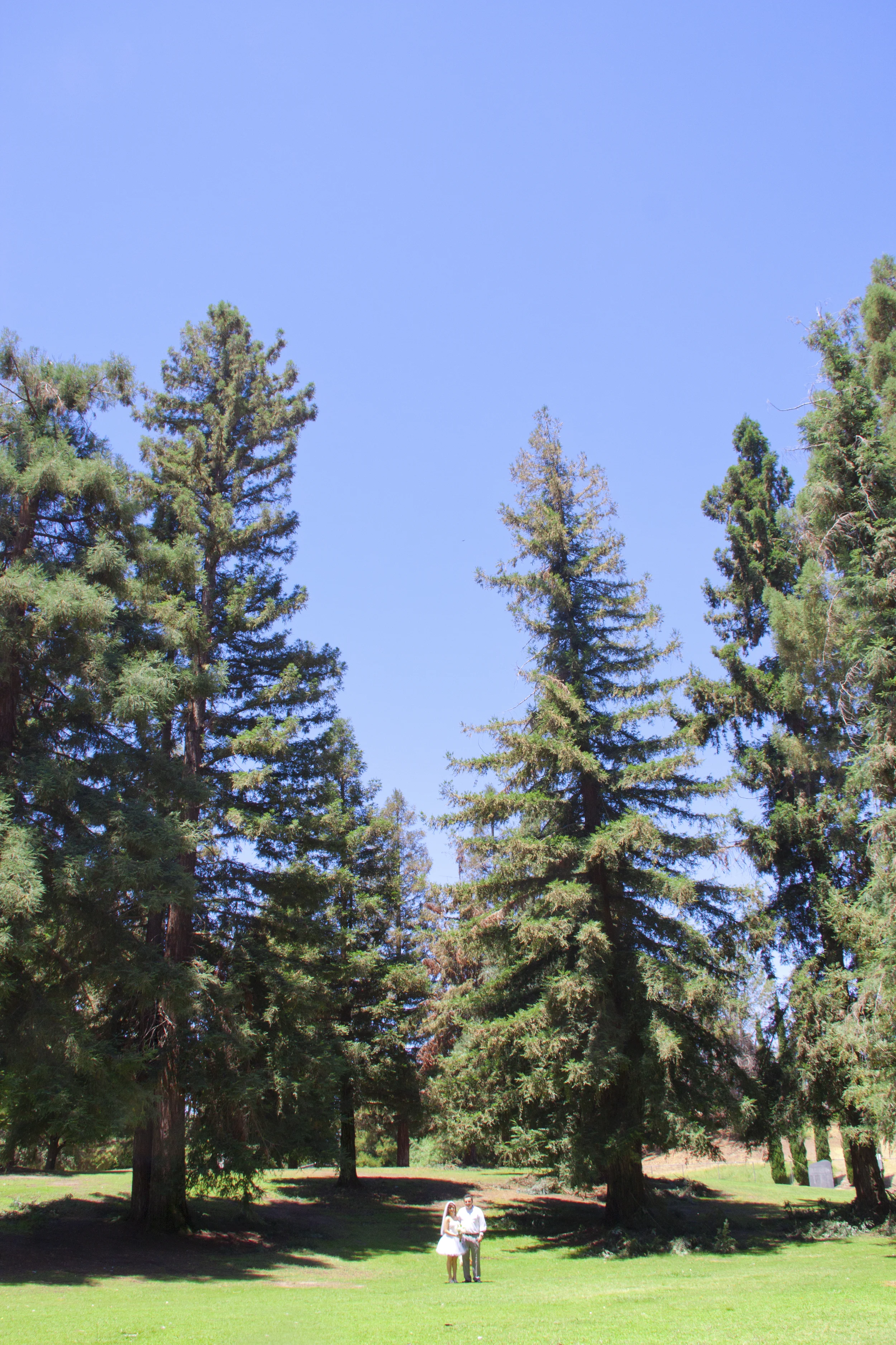 140625_4305.jpg
