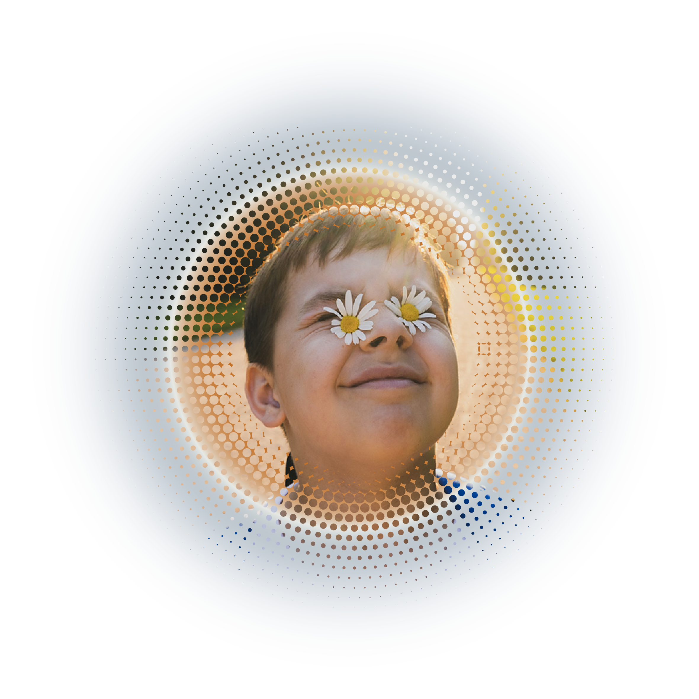 Asset 62.png