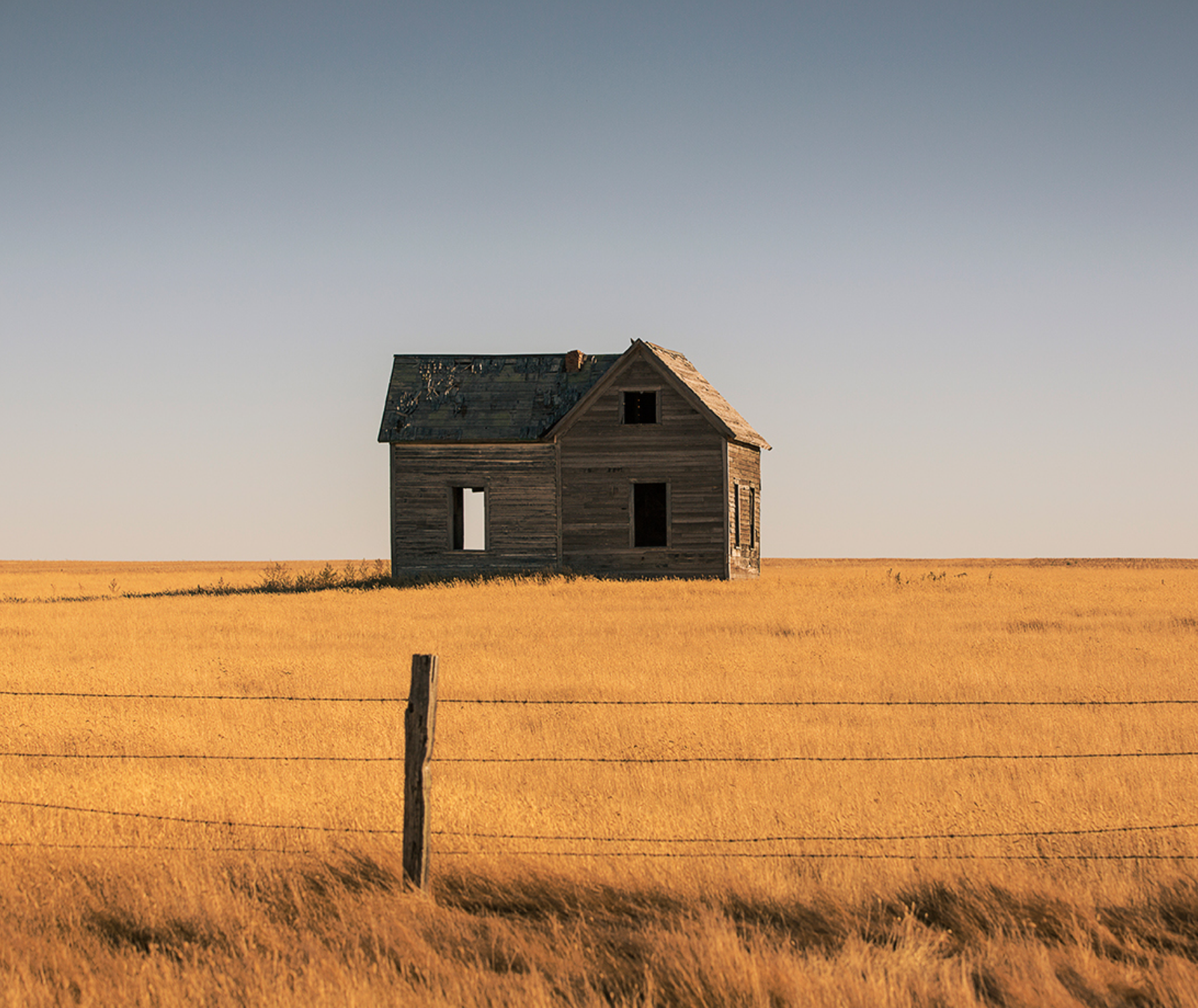 Home-stead-p.png