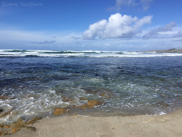 The Pacific Ocean!
