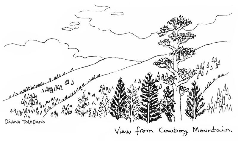 cowboy-mountain_diana-toledano.png