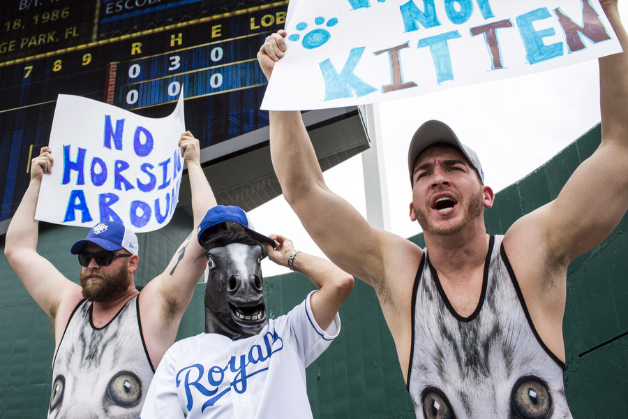 From left, John Stoner, Jeremy Feyh and Paul Long cheer for the Royals. 