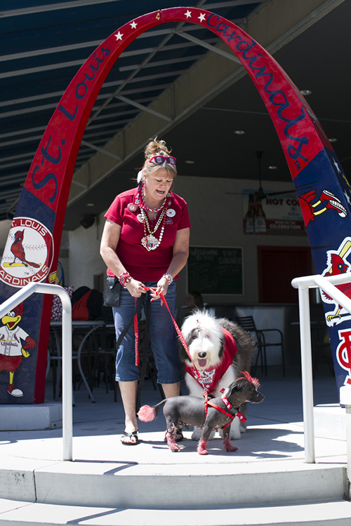 Chris Nickolay brought her dogs Jackson and Rock Star to the game for Pooches in the Ballpark.