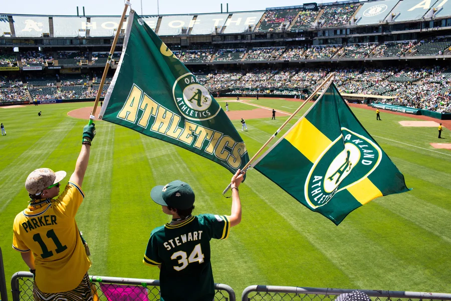 Fans wave flags in the left field bleachers. 