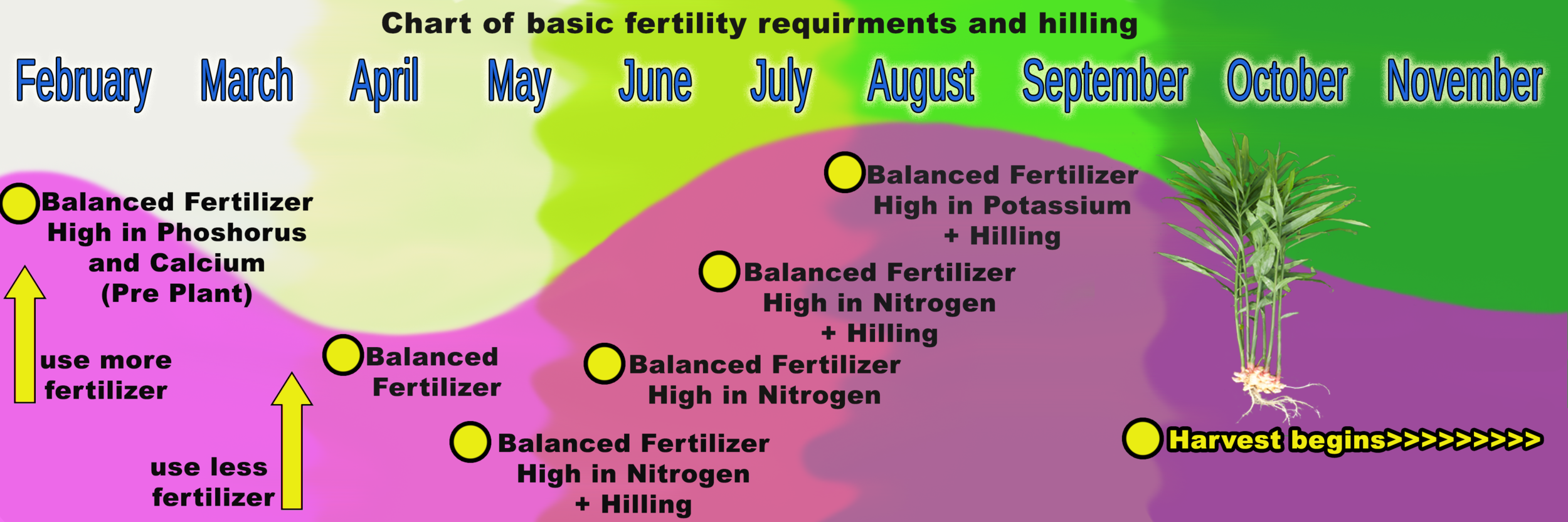 Fertilizer Chart For Plants