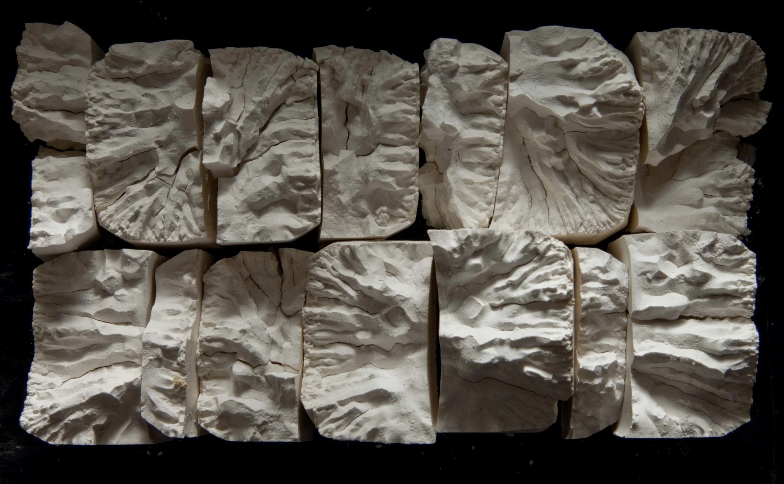 Starch from ginger as prepared and photographed by Patrick Callery.