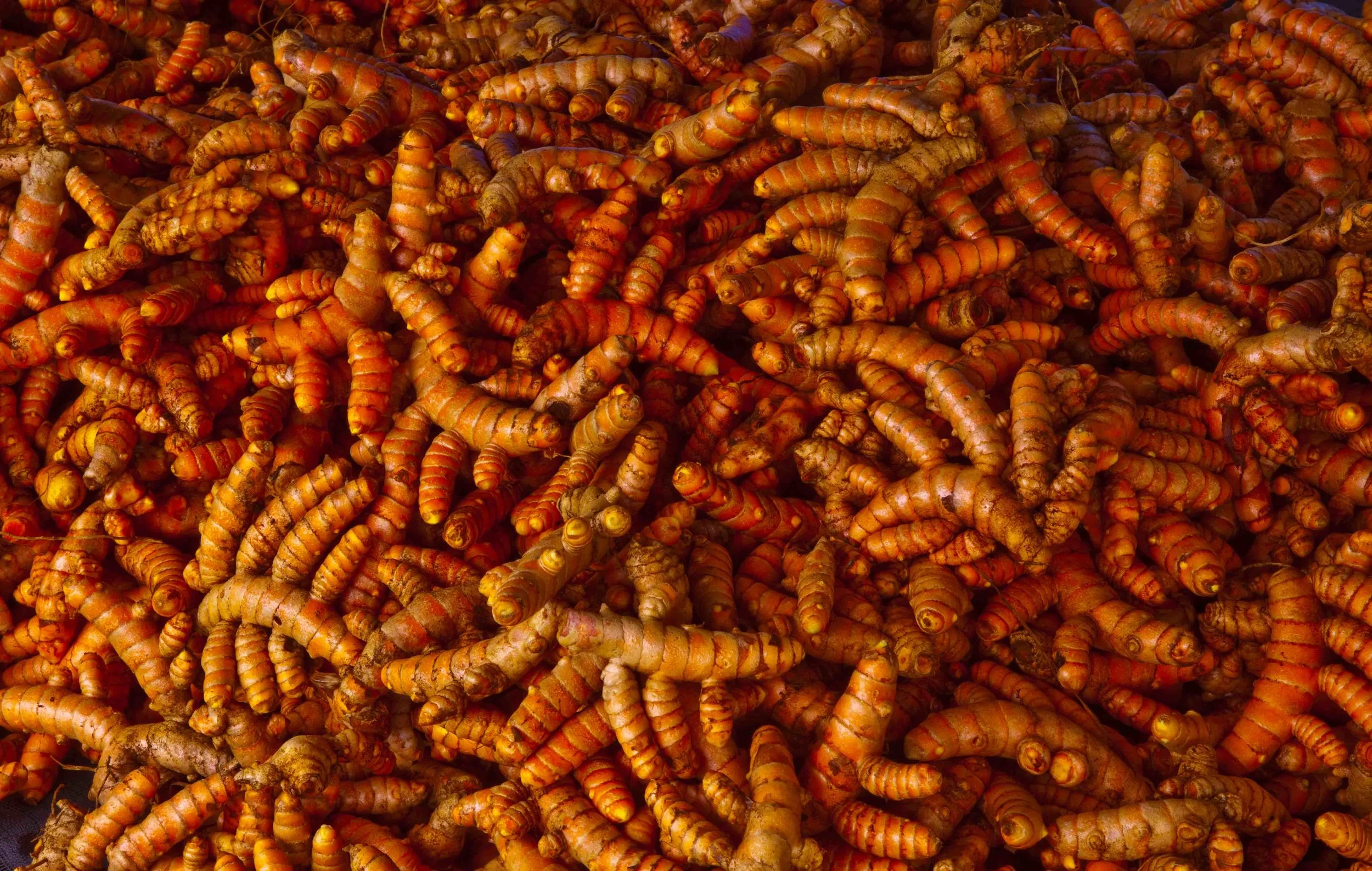 Fully mature turmeric