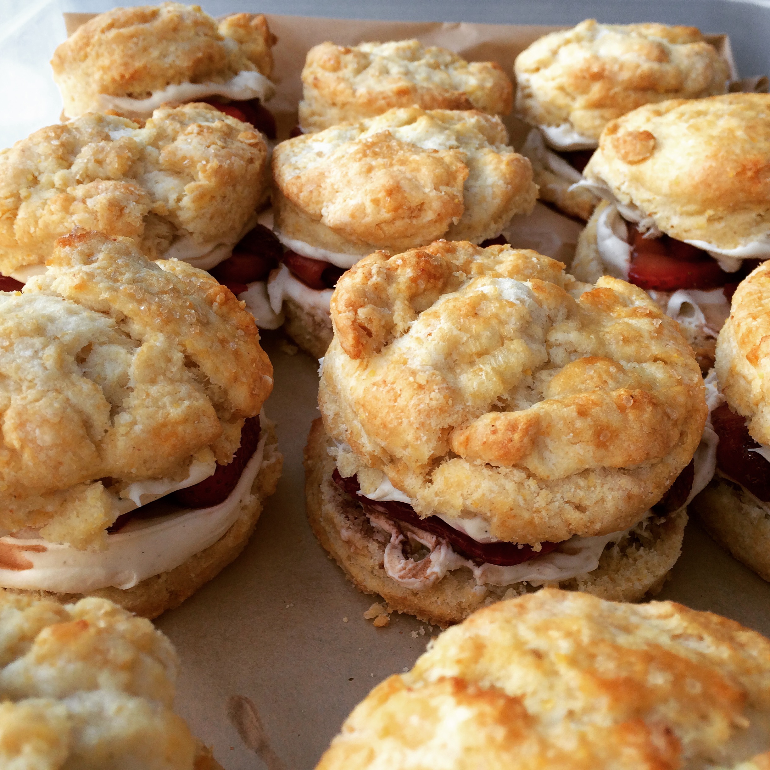 Rhubarb & Goat Cheese Shortcake