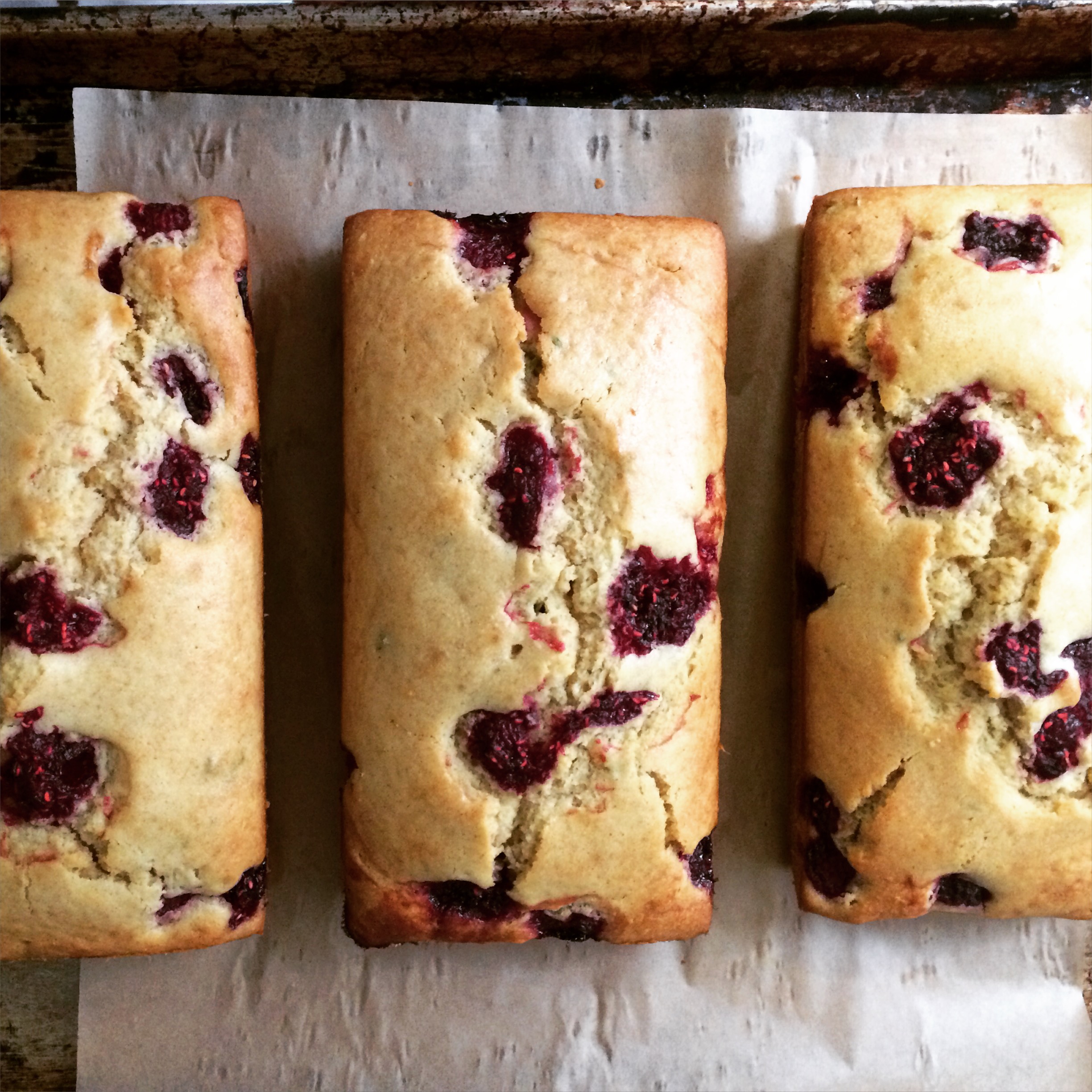 Olive Oil Lemon Raspberry Loaves