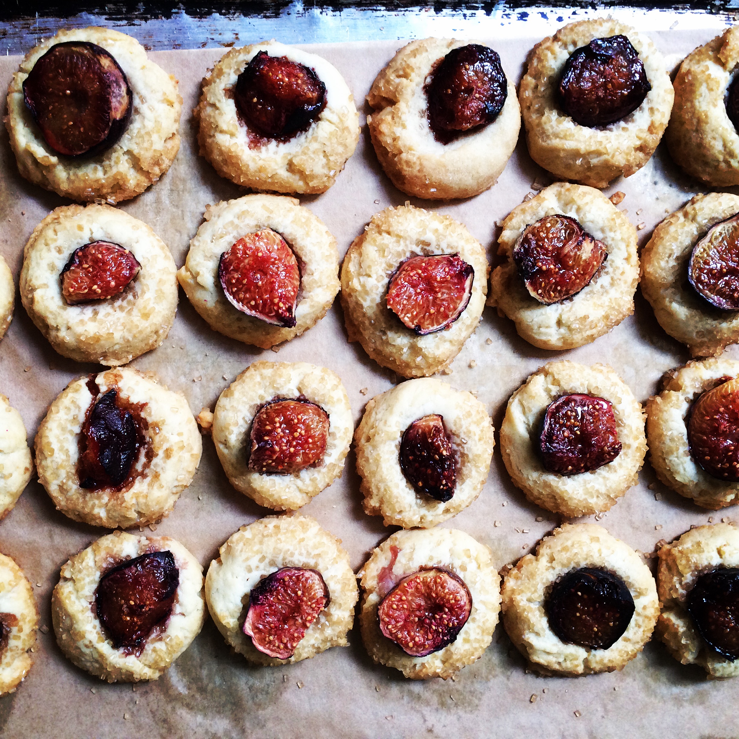 Fig Thumbprints