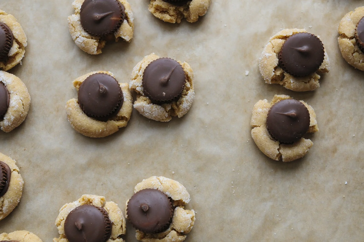 Batter Bakery Batter Bakery