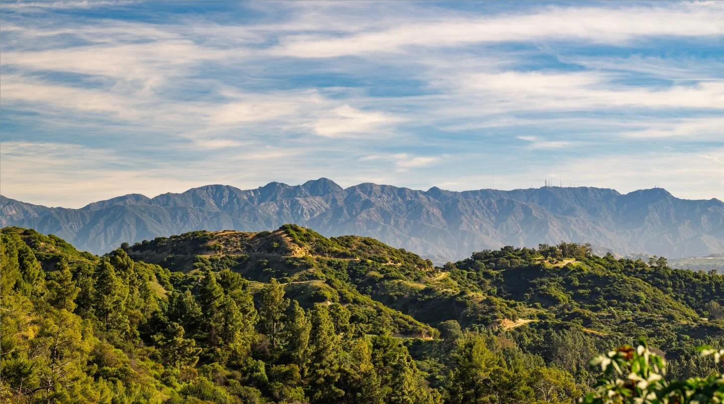 LA is always so beautiful after a few days of cold or rainy weather 😍. Here are a few snaps from our hike this morning. Enjoy 😊 #LA #whatwinter☀️ #nikon #framedbyfrancois
