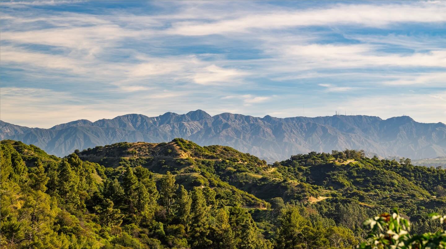 LA is always so beautiful after a few days of cold or rainy weather 😍. Here are a few snaps from our hike this morning. Enjoy 😊 #LA #whatwinter☀️ #nikon #framedbyfrancois