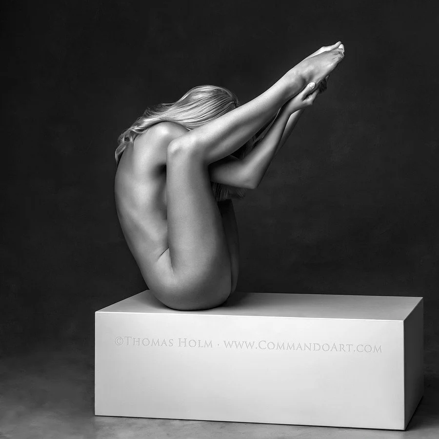 th2019-3034 - box top piece_900pxw.jpeg