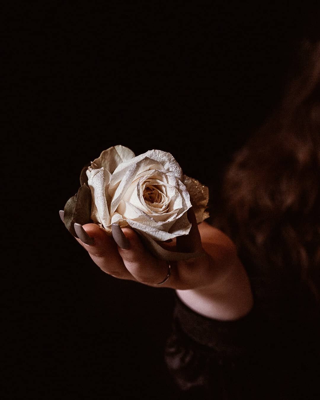 We wouldn't ask why a rose that grew from the concrete had damaged petals. On the contrary, we would all celebrate its tenacity... Well, we are the rose, this is the concrete, and these are my damaged petals. Don't ask me why... ask me how.
&mdash; T