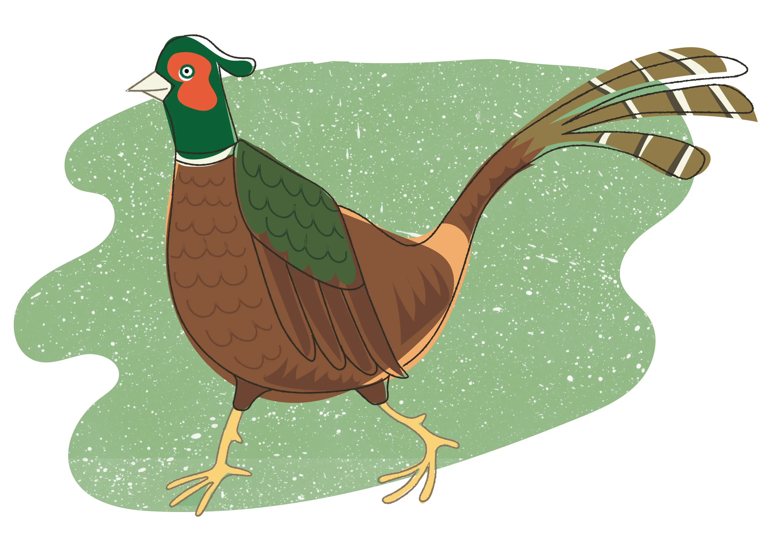 pheasant.jpg