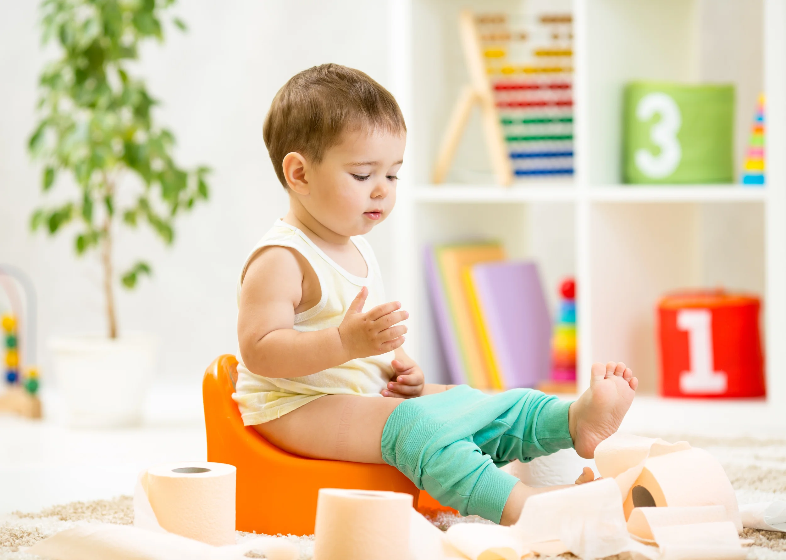 Is Your Toddler Ready for Toilet Teaching?