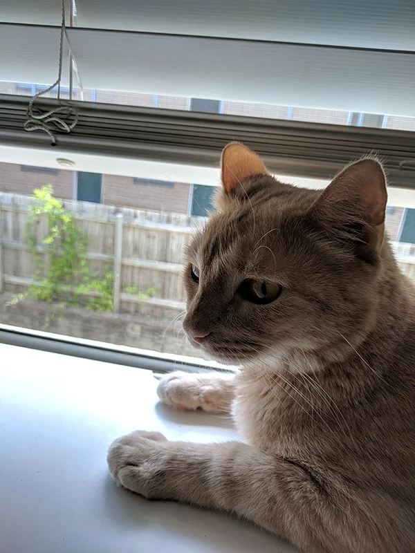 yuki-og-image.jpg