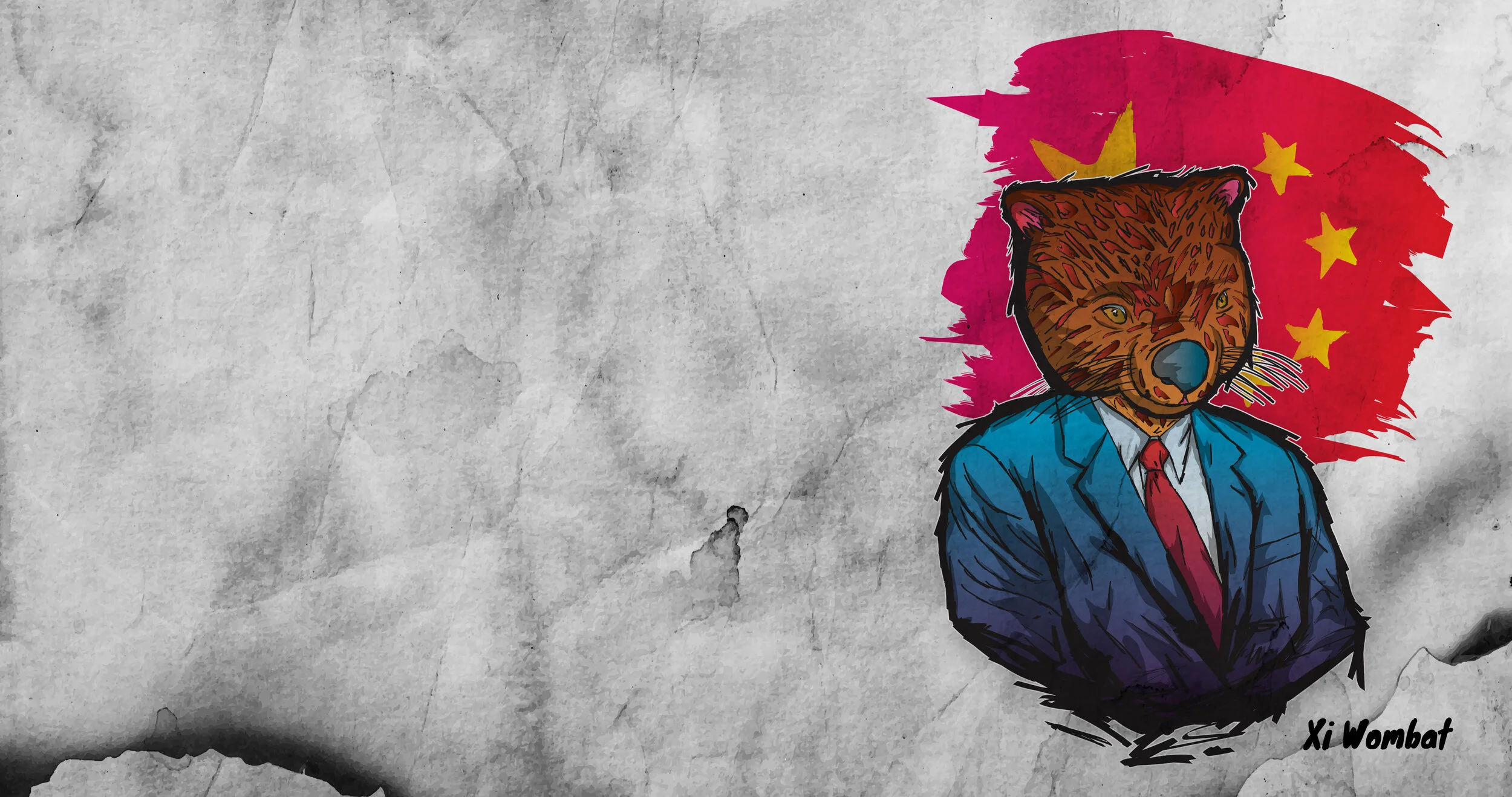 Xi Wombat 4k Desktop Wallpaper