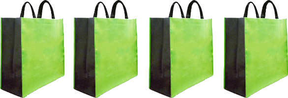 Ecobag_Ldb2_2x.png