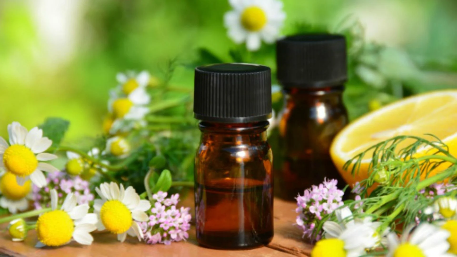 Photo courtesy of www.aromaazinternational.com
