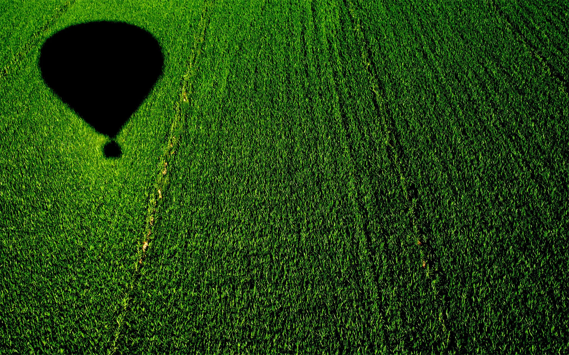 02957_balloonoveracornfield_1920x1200 copy.jpg