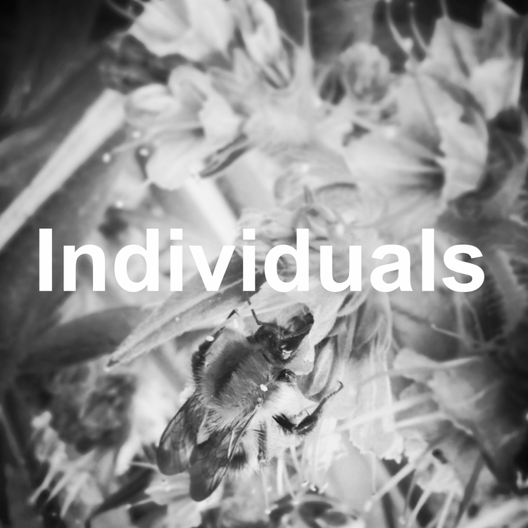 individuals.jpg