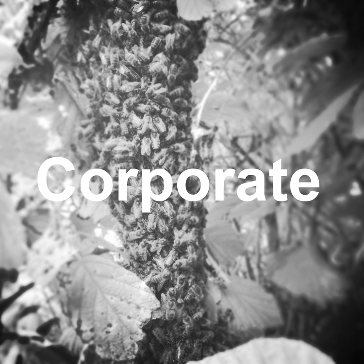 corporate.jpg