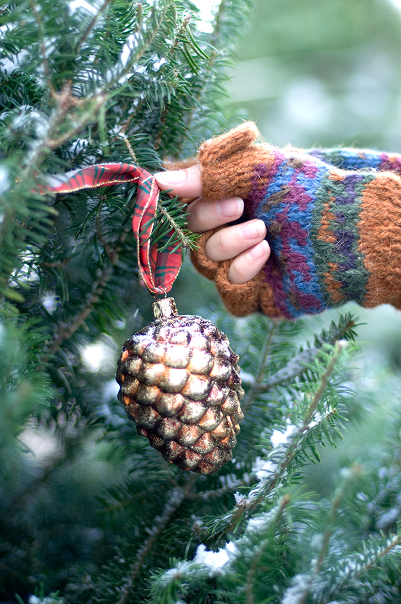 Ornament on Tree 2_2Kpx.jpg