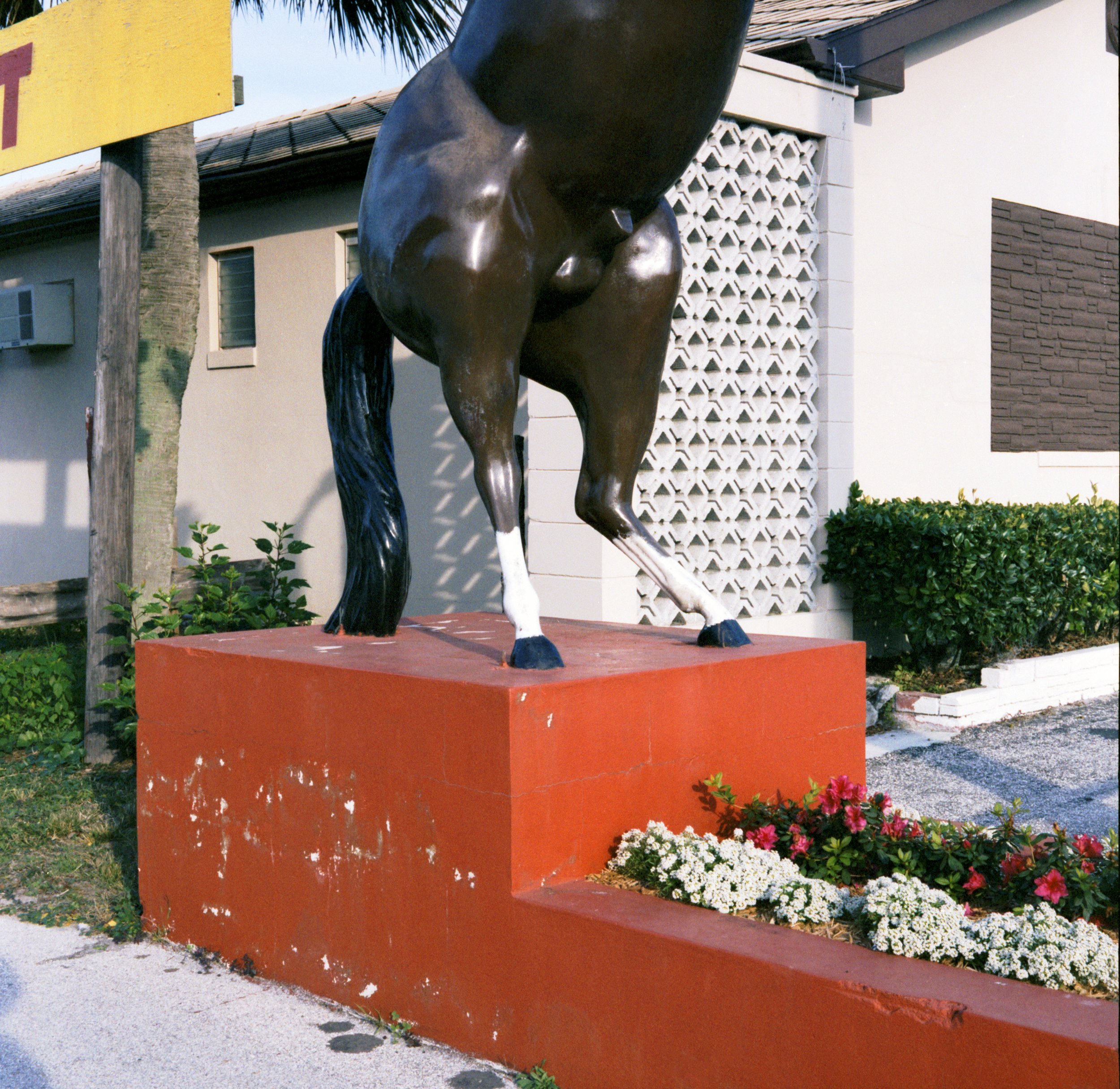 Horse on Red Center.jpg