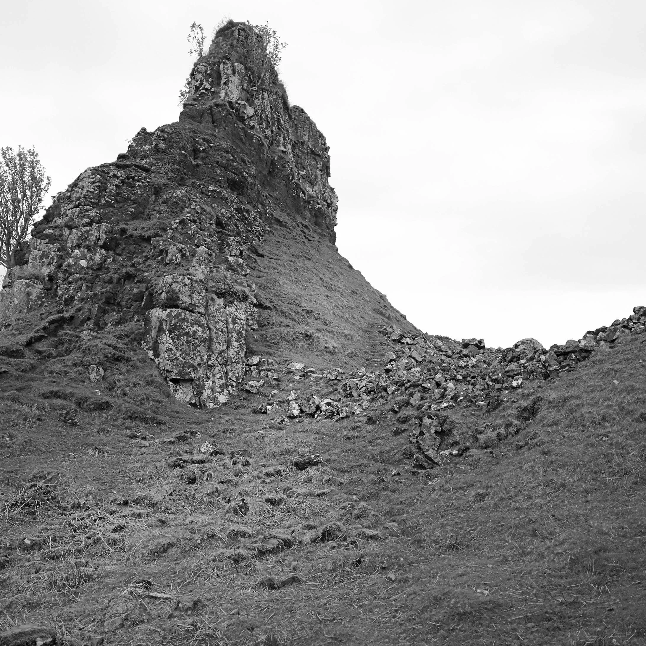 _DSF9123.JPG