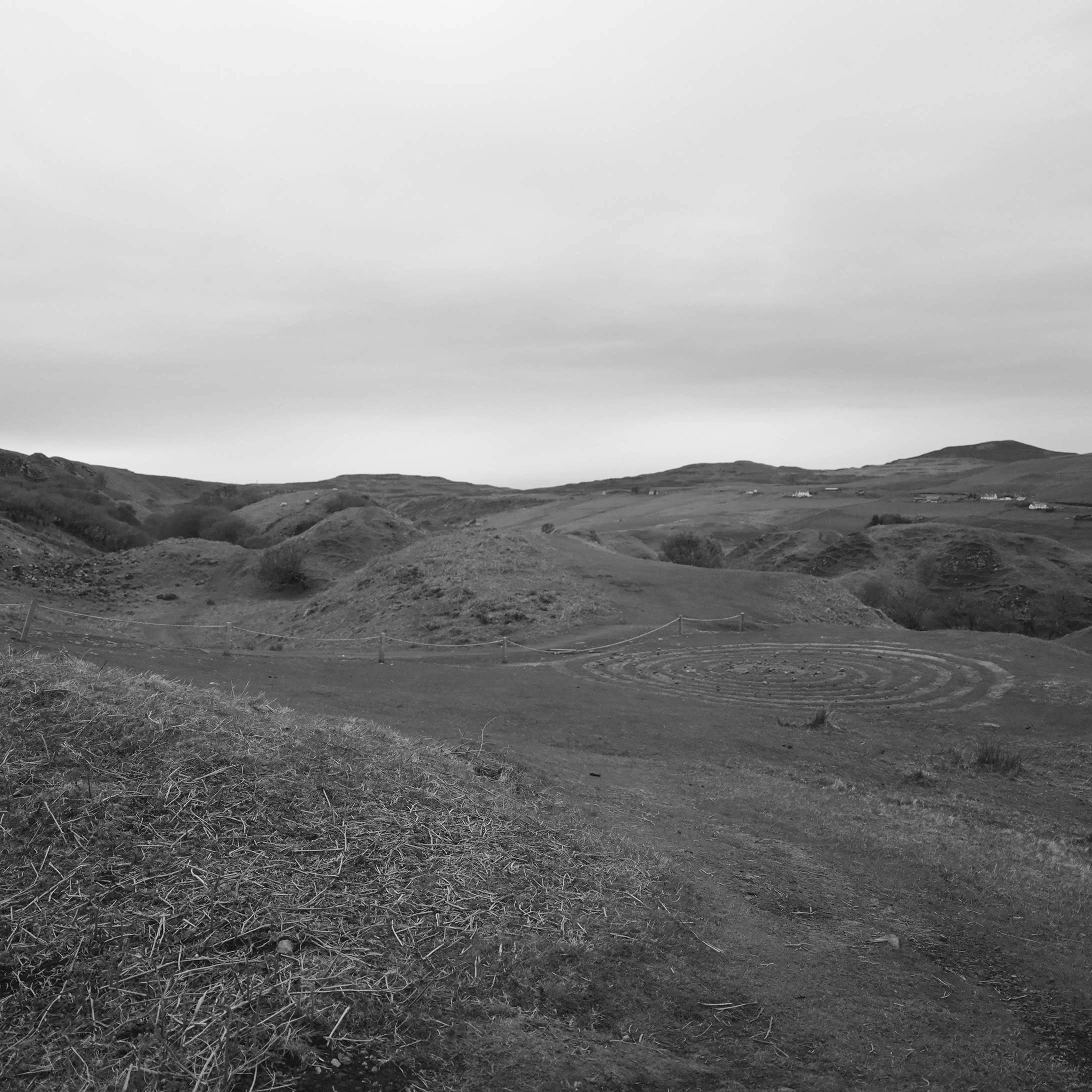 _DSF9125.JPG