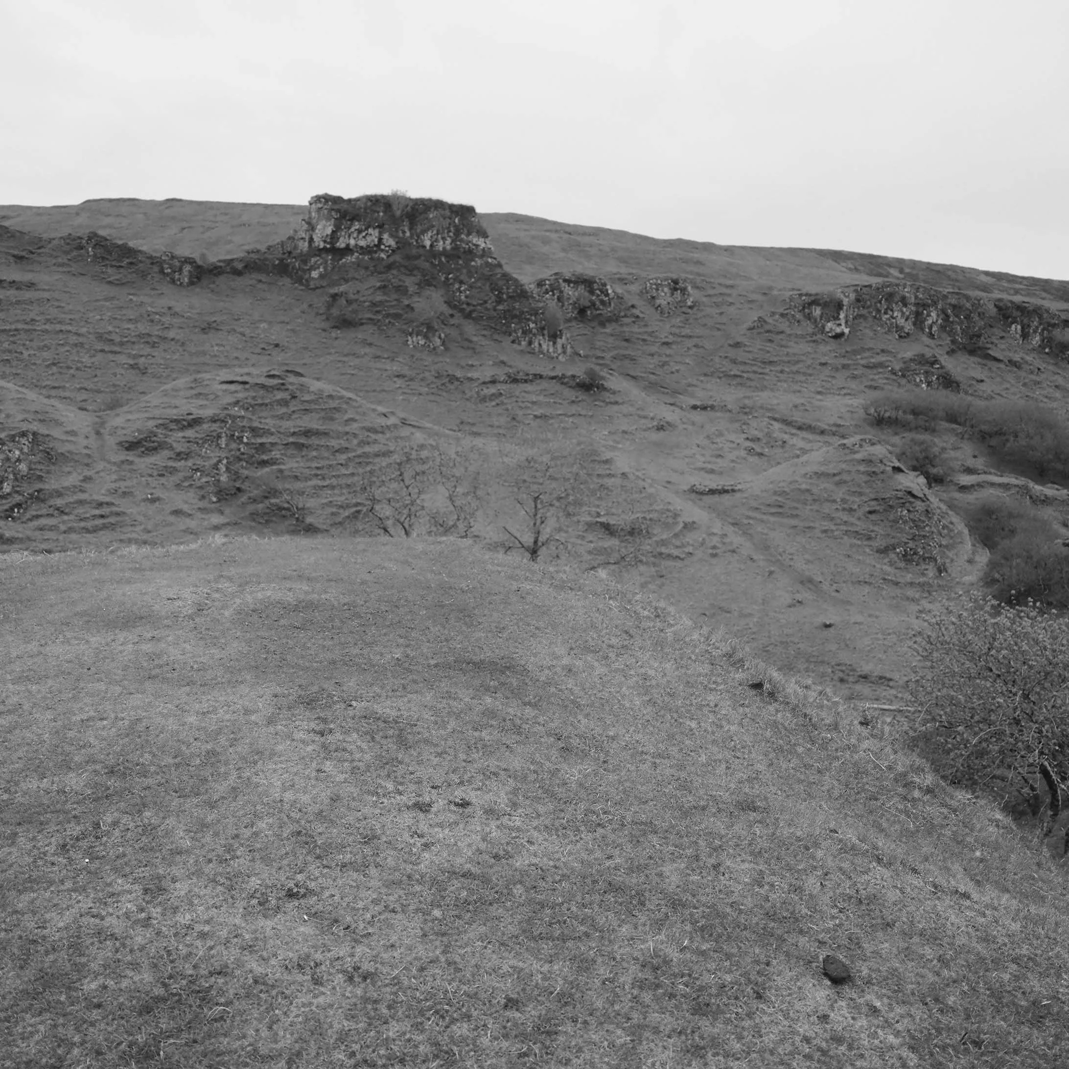 _DSF9139.JPG